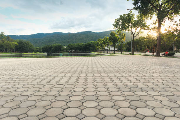Best Local Driveway Pavers  in Laureles, TX